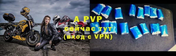 спиды Белокуриха