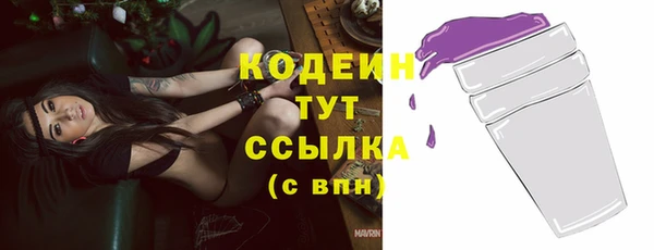 молекула духа Богородск