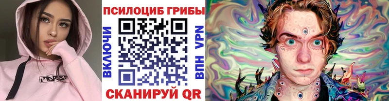 где купить наркоту  Боровск  Псилоцибиновые грибы MAGIC MUSHROOMS 